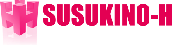 フーゾクサイトの決定版 すすきのH！